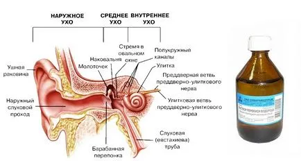 Ca să se scurgă în urechea de peroxid de hidrogen - un tratament zdravoline rețete simple și rapide (picurare) Cum să se scurgă în urechea de peroxid de hidrogen - un rețete simple și rapide pentru tratamentul zdravoline