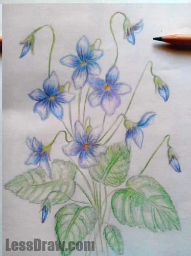 Cum de a desena etape creion violet, lessdraw