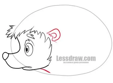 Cum de a desena un arici în etape, lessdraw (desena) Cum de a desena un arici în etape, lessdraw