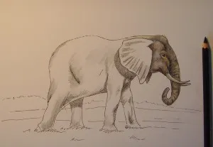 Cum de a desena un elefant, trage treptat în creion, copilul meu