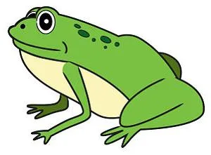 Cum de a desena o viață broasca și desene animate (remiză) Cum de a desena o viață broască și desene animate