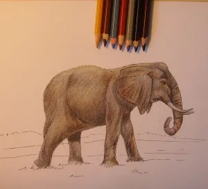 Cum de a desena un elefant, trage treptat în creion, copilul meu