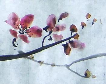 Cum să atragă Sakura