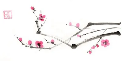 Cum să atragă Sakura