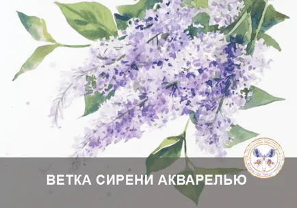Cum să atragă Sakura