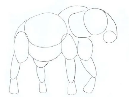 Cum să atragă elefant, elefant etape creion de desen (elefant) Cum de a desena un elefant, elefant desen etape creion