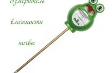 Cum se pulveriza normele de îngrijire a plantelor, toate culorile (pulverizati plantele) Cum se pulveriza plantele sunt regulile de ingrijire, toate culorile