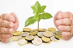 Cum de a deschide IE, înregistrarea unui întreprinzător individual