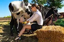 Ce fel de afaceri pentru a deschide în satul de idei de afaceri mici în zonele rurale