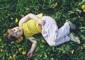 Cum să se spele hainele, cu o păpădie (Taraxacum) Cum să se spele hainele cu o păpădie