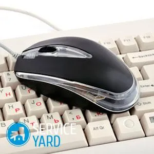 Cum de a stabili un mouse de calculator, serviceyard-confortul de acasă la îndemână