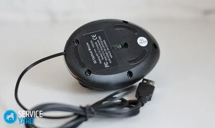 Cum de a stabili un mouse de calculator, serviceyard-confortul de acasă la îndemână