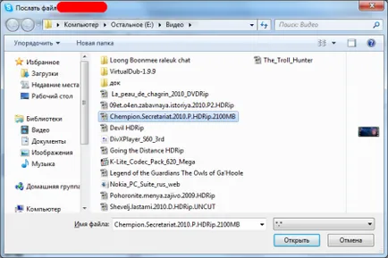 Cum de a transfera un fișier mare pe Internet (Internet) Cum de a transfera un fișier mare pe Internet