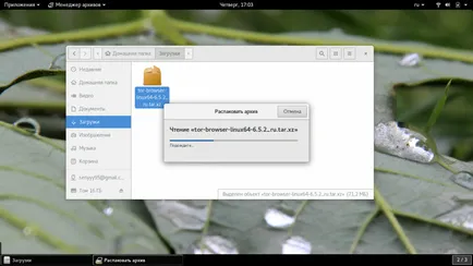 Cum să utilizați browser-ul tor, losst