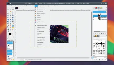 Cum se utilizează Gimp 2, losst
