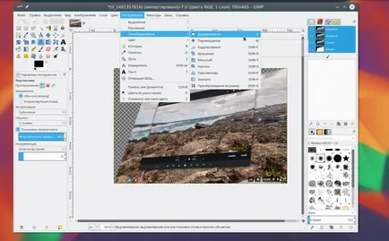 Cum se utilizează Gimp 2, losst