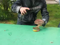 Cum de a deschide un borcan de șprot două lingurițe și adidași