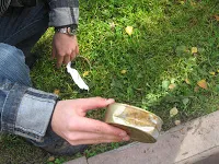 Cum de a deschide un borcan de șprot două lingurițe și adidași