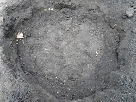 Cum să planteze o cincime din vestul țării, fotografie, zi de vară rezident