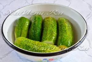 Cum de a găti castraveți sărate saramură rece acasă crocantă (castraveți) Cum de a găti castraveți sărate acasă crocantă saramură rece