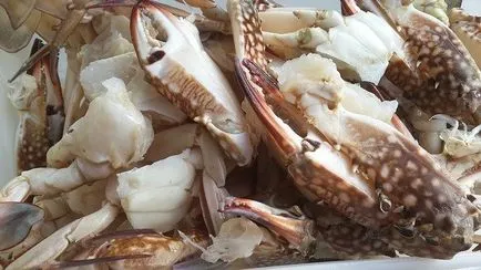 Cum de a alege calmarul
