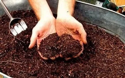 Cum se aplica gunoiul de grajd ca îngrășământ pentru a utiliza bălegar de cal (îngrășăminte) Cum se utilizează îngrășăminte naturale, modul de utilizare a gunoiului de grajd de cal