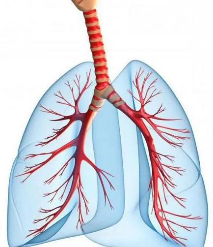 Cum de a verifica metode simple de examinare pulmonare