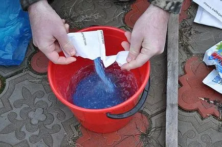 Cum se dizolva sulfat de cupru pentru pulverizarea copaci