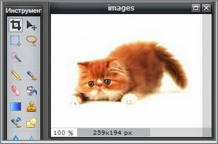 Cum de a face imaginea de fundal transparent, fără Photoshop modul de a face bani online (sfaturi pentru începători) Cum de a face imaginea de fundal transparent, fără Photoshop modul de a face bani online