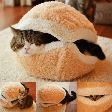 Cum sa faci o casa pentru pisica cu mâinile proprii, creatiile sale originale și idei mari și case mici