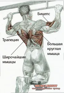 Cum de a face partea din spate mai larg sau secretul spate lat, musclesfit (exercițiul vertical) Cum de a face partea din spate mai larg sau secretul spate lat, musclesfit
