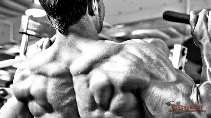 Cum de a face partea din spate mai larg sau secretul din spate larg, musclesfit (trage) Cum de a face partea din spate mai larg sau secretul spate lat, musclesfit