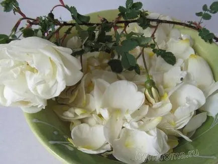 Cum sa faci ulei de trandafir cu propriile lor mâini la domiciliu, arome si culori pentru sanatate, frumusete (modul de a face ulei de trandafir din petale de trandafir) Cum sa faci ulei de trandafir, cu propriile lor mâini la domiciliu, arome si culori pentru sanatate-frumusete