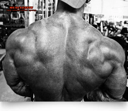 Cum de a face partea din spate mai larg sau secretul din spatele larg, musclesfit (cum la spre spate mai larg) Cum de a face partea din spate mai larg sau secretul spate lat, musclesfit