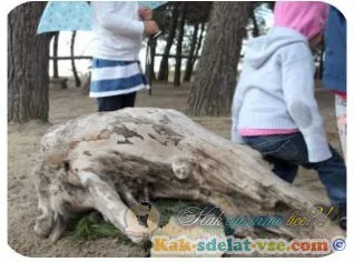 Cum sa faci o idee căutare (cum se face căutarea la domiciliu) Cum sa faci un quest idei