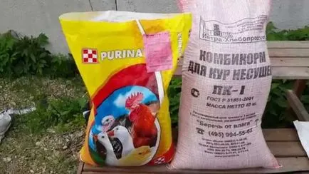 Cum de a face pentru hrana puilor de carne cu compoziția mâinilor