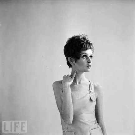 Cum sa faci un machiaj în stil retro lumina zeita twiggy master-class și inspirație