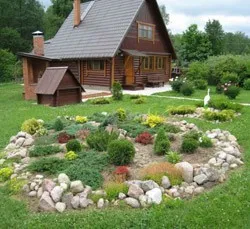 Cum de a face rockeries în țară cu propriile lor mâini, pas cu pas fotografii (dacha) Cum de a face rockeries în țară cu propriile lor mâini, pas cu pas fotografie