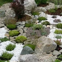 Cum de a face rockeries în țară cu propriile lor mâini, pas cu pas fotografii (dacha) Cum de a face rockeries în țară cu propriile lor mâini, pas cu pas fotografie