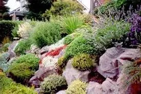 Cum de a face rockeries la cabana lor de vara cu propriile sale mâini (zona) Cum de a face rockeries la cabana lor de vara cu propriile sale mâini