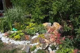Cum de a face rockeries la cabana lor de vară, cu propriile sale mâini (suburbane) Cum de a face rockeries la cabana lor de vara cu propriile sale mâini