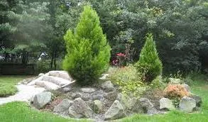 Cum de a face rockeries la cabana lor de vară, cu propriile sale mâini (suburbane) Cum de a face rockeries la cabana lor de vara cu propriile sale mâini