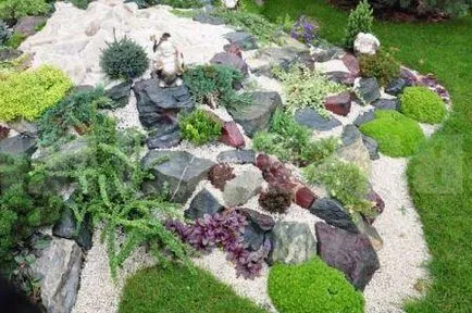 Cum de a face rockeries la cabana lor de vară, cu propriile sale mâini (lor) Cum de a face rockeries la cabana lor de vara cu propriile sale mâini