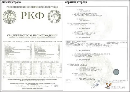 Cum sa faci un caine pedigree, drtclub