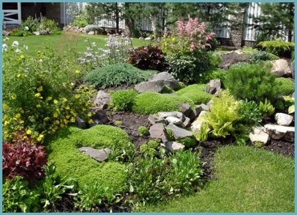 Cum de a face rockeries în țară cu propriile lor mâini, pas cu pas fotografii (lor) Cum de a face rockeries în țară cu propriile lor mâini, pas cu pas fotografie