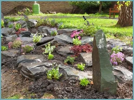 Cum de a face rockeries în țară cu propriile lor mâini, pas cu pas fotografii (a face) Cum de a face rockeries în țară cu propriile lor mâini, pas cu pas fotografie