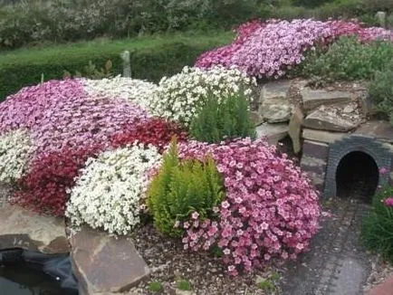 Cum de a face rockeries la cabana lor de vară, cu propriile sale mâini (lor) Cum de a face rockeries la cabana lor de vara cu propriile sale mâini