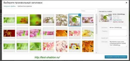 Cum de a face un titlu de pe site-ul web - model de test
