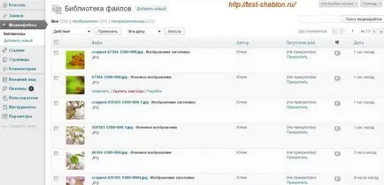 Cum de a face un titlu de pe site-ul web - model de test