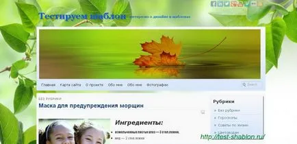 Cum de a face un titlu de pe site-ul web - model de test
